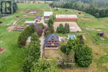 10258 Highway 9, Adjala-Tosorontio, Ontario L0G1L0, 4 Bedrooms Bedrooms, ,3 BathroomsBathrooms,Commercial,For Sale,Highway 9,N9512783