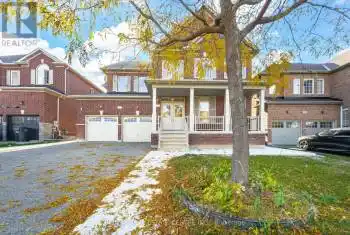 4 Danfield Court Unit# BSMT, Brampton (Credit Valley), Ontario L6Y2X9, 2 Bedrooms Bedrooms, ,1 BathroomBathrooms,All Houses,For Rent,Danfield,W9768849