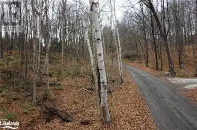 BASSHAUNT LAKE Road Haliburton Ontario K0M1S0