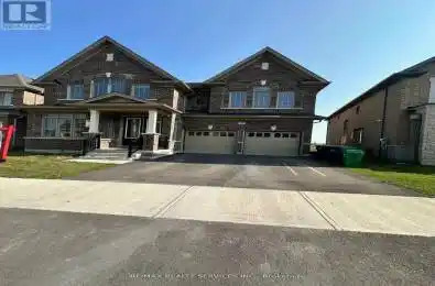 48 Puffin Crescent Brampton (Sandringham-Wellington North) Ontario L6R