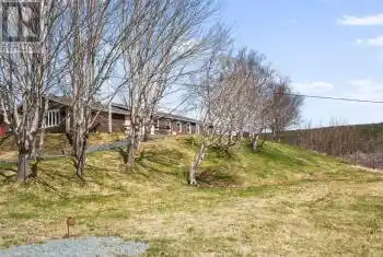 35 Lumley's Cove Road, Fermeuse, Newfoundland & Labrador A0A2G0, 11 Bedrooms Bedrooms, ,3 BathroomsBathrooms,All Houses,For Sale,Lumley's Cove,1279675