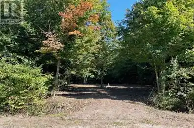 77347 FOREST RIDGE Road Central Huron (Bayfield) Ontario N0M1G0