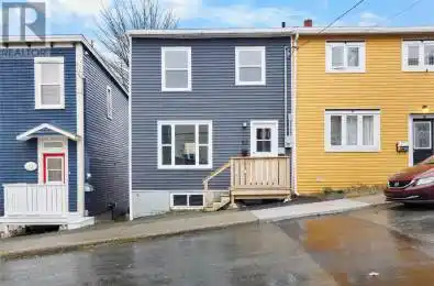 53 Flower Hill St John's Newfoundland & Labrador A1C4L9