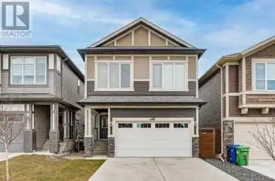 217 Lucas Crescent Calgary Alberta T3P1M8