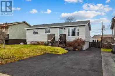 19 Lindbergh Crescent Mount Pearl Newfoundland & Labrador A1N2E3