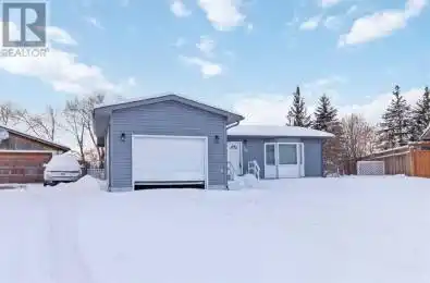 181 Parmenter Crescent Fort McMurray Alberta T9K1L7