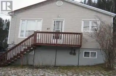 47 Massey Drive Massey Drive Newfoundland & Labrador A2H6Z9